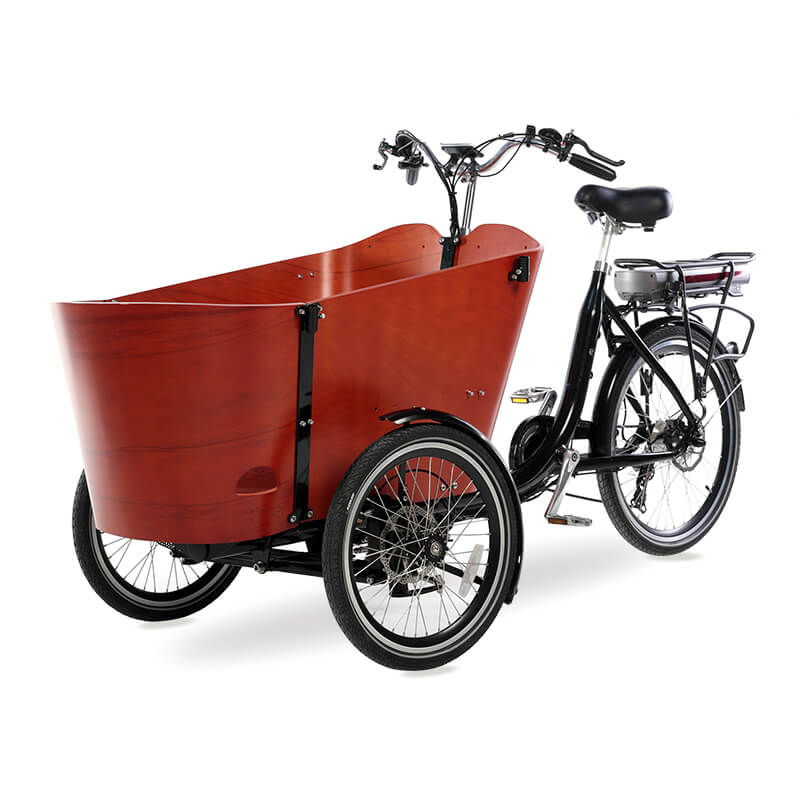 family cargo bike