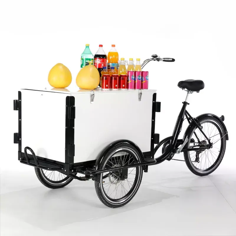 family cargo bike