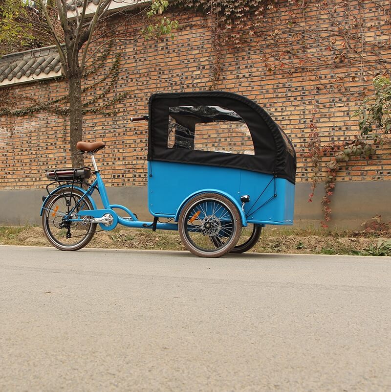 family cargo bike