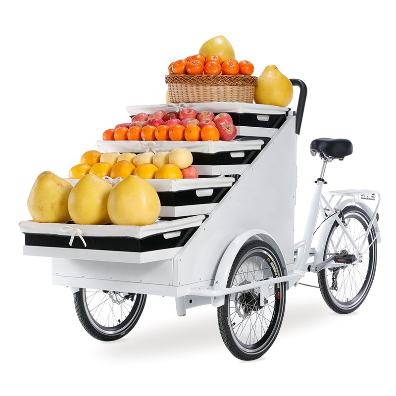 family cargo bike