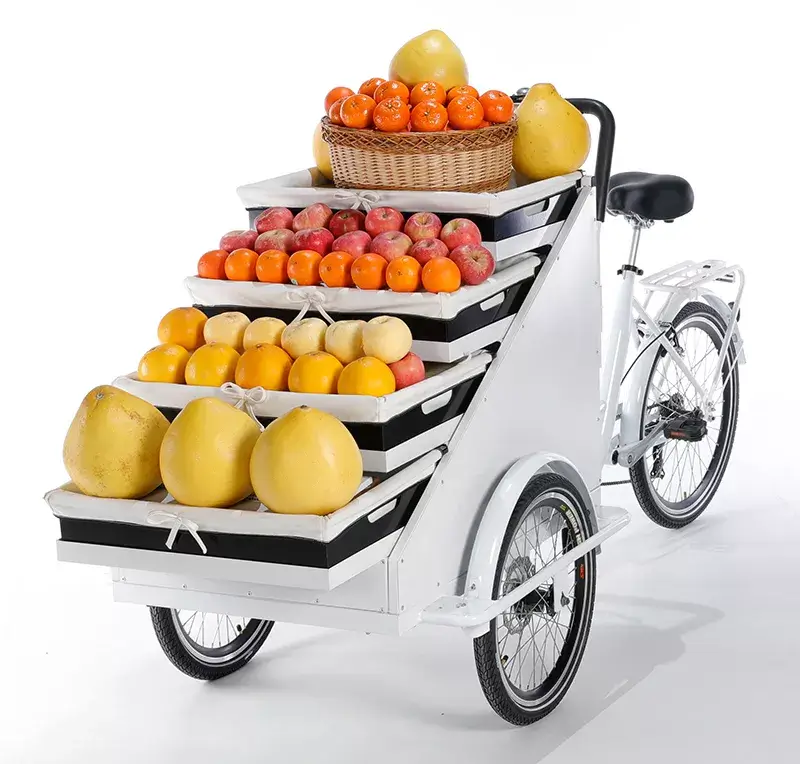 family cargo bike
