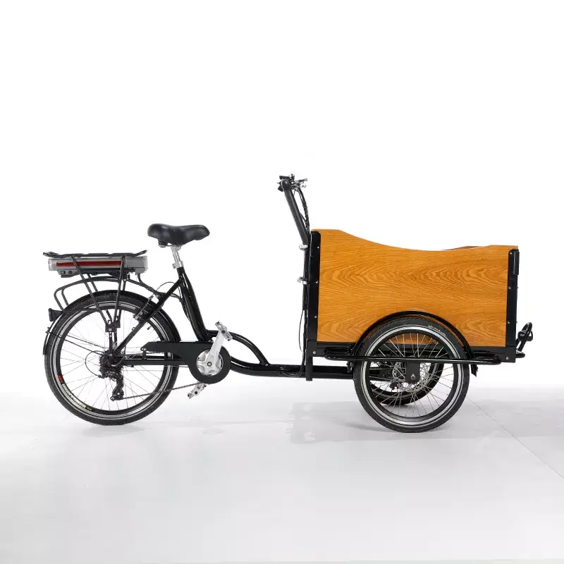 family cargo bike