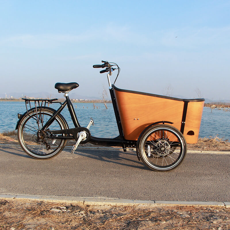 family cargo bike