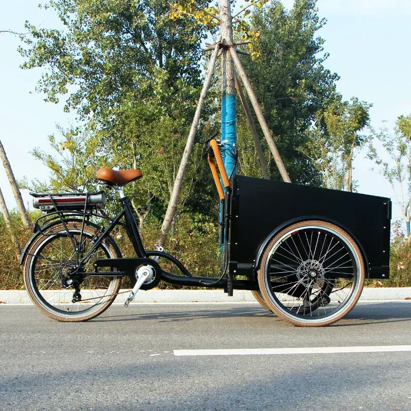 family cargo bike