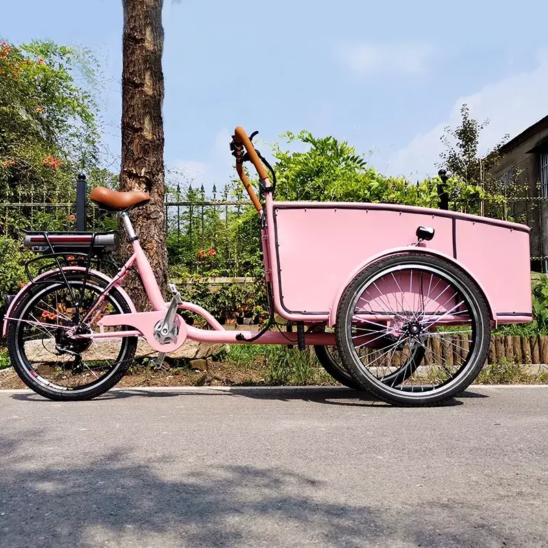 family cargo bike