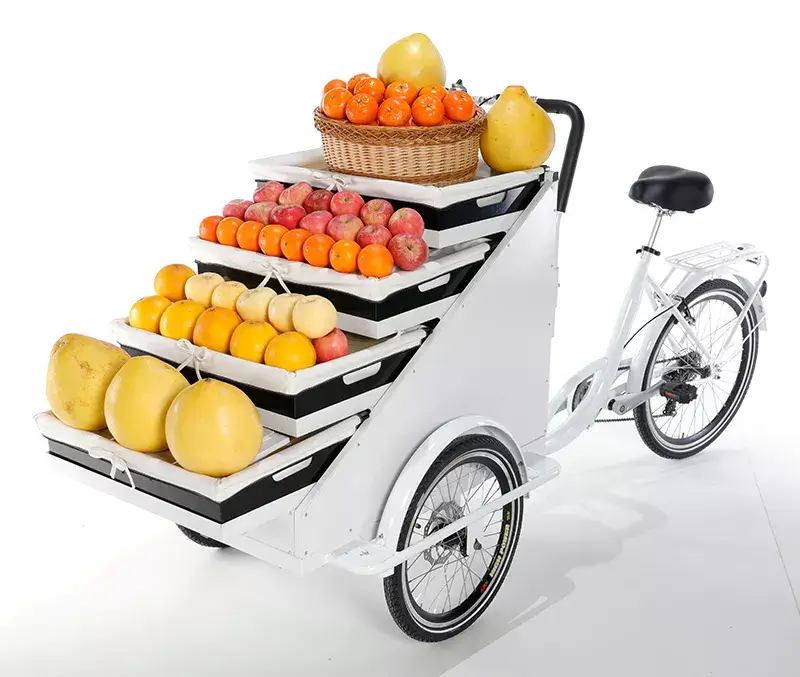 family cargo bike
