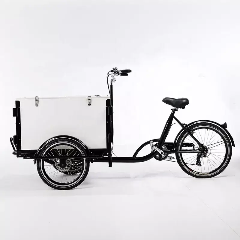 family cargo bike
