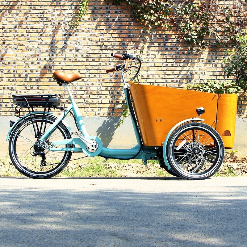 family cargo bike