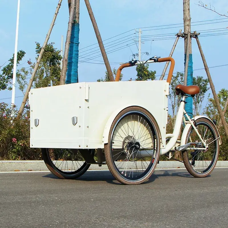 family cargo bike