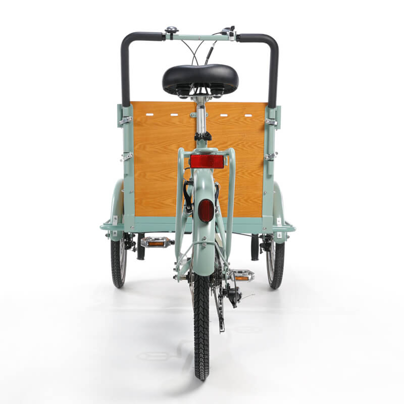 family cargo bike