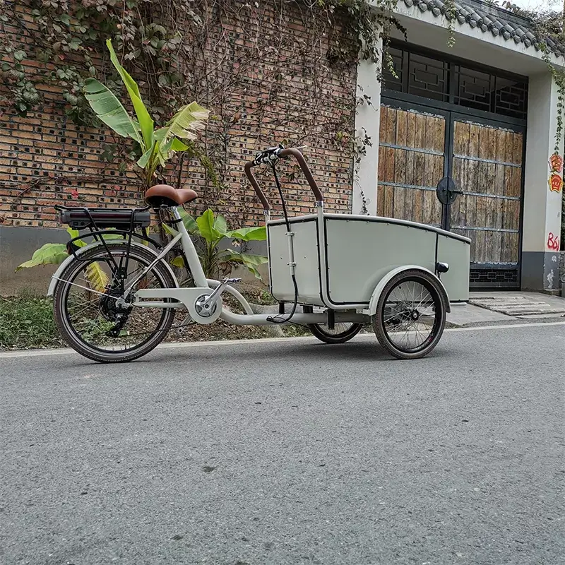 family cargo bike