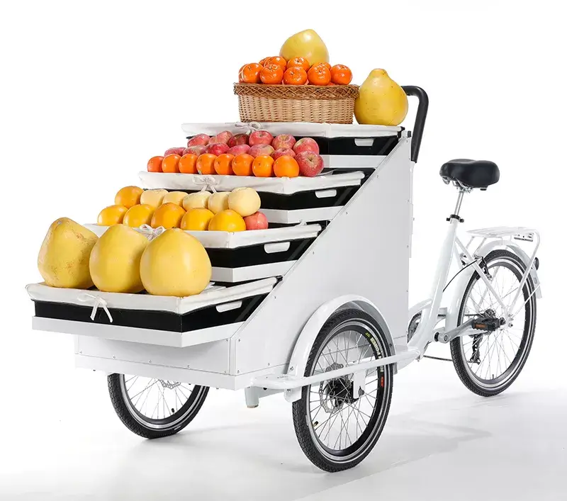 family cargo bike