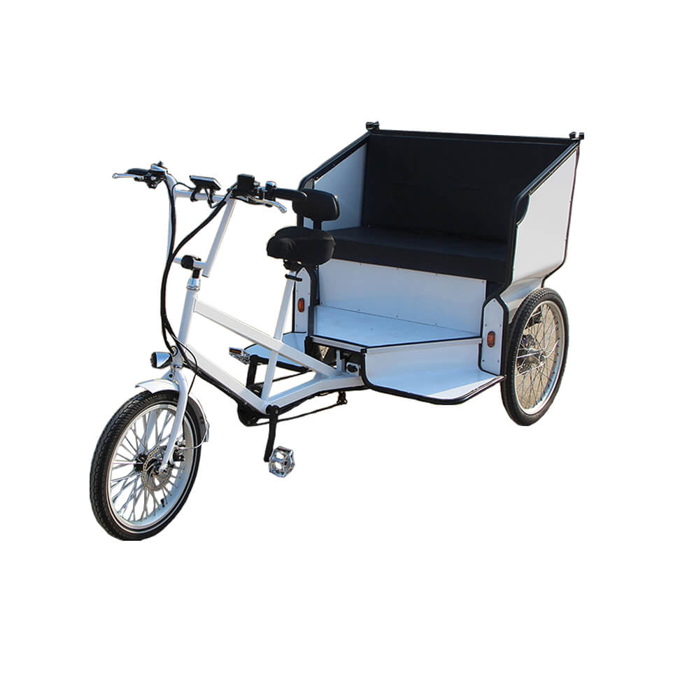 family cargo bike