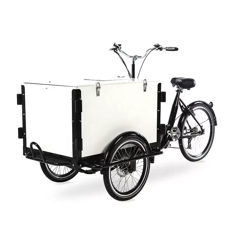 family cargo bike