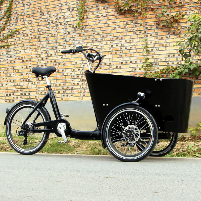 family cargo bike