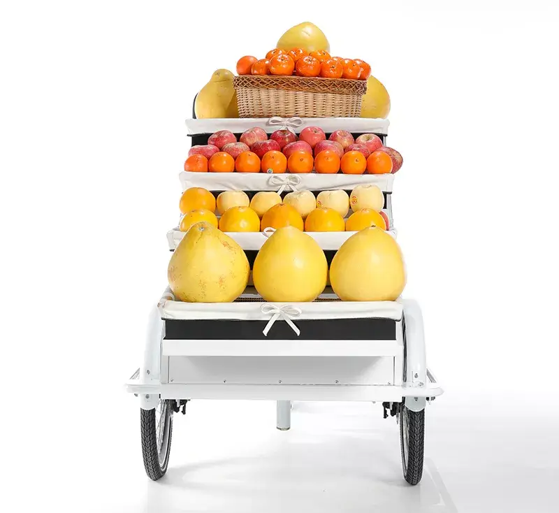 family cargo bike