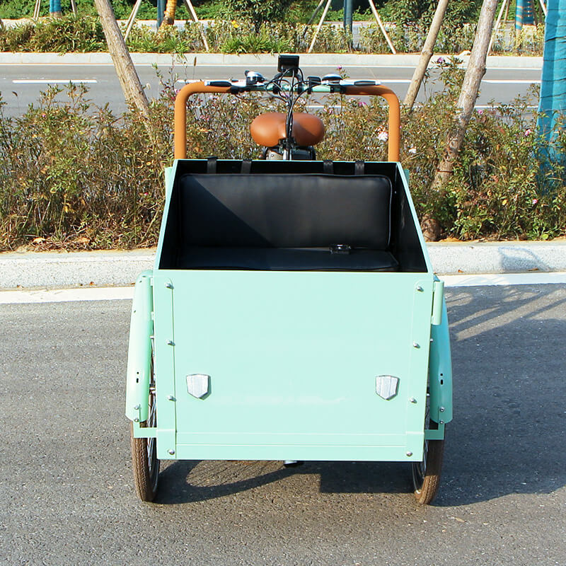 family cargo bike