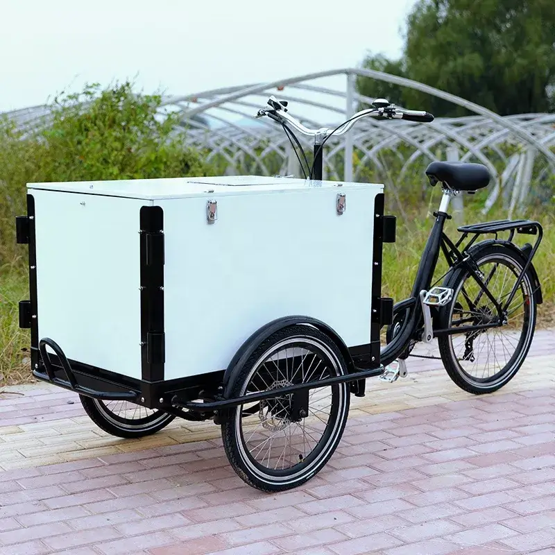 family cargo bike