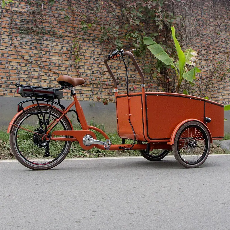 family cargo bike