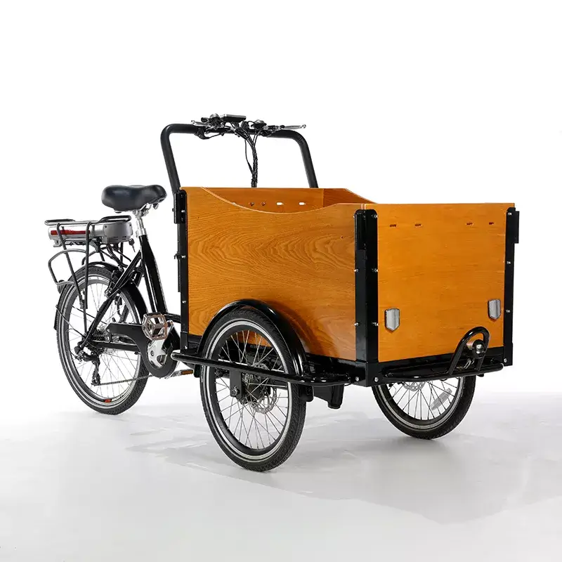 family cargo bike