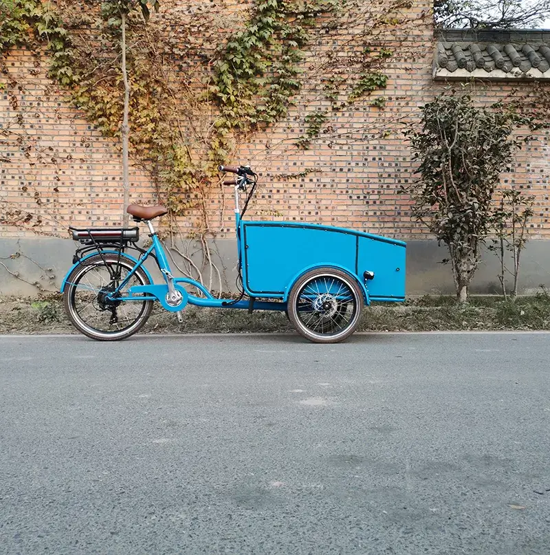 family cargo bike