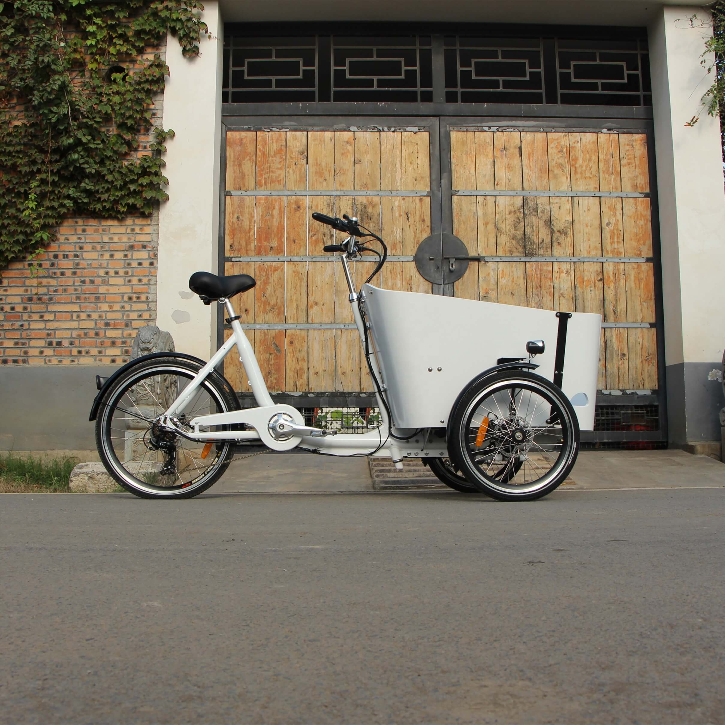 family cargo bike