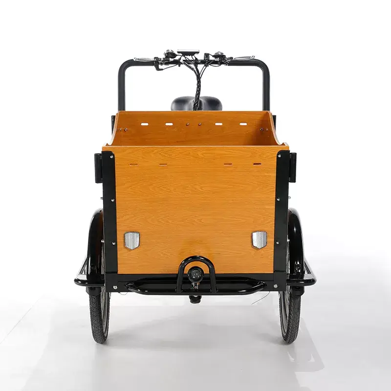 family cargo bike