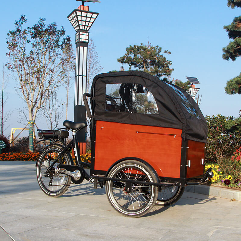 family cargo bike